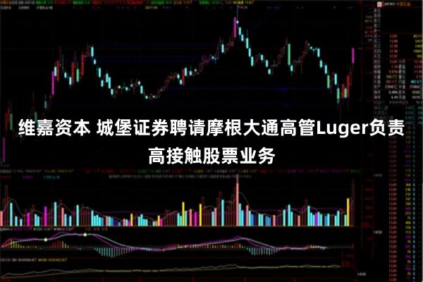 维嘉资本 城堡证券聘请摩根大通高管Luger负责高接触股票业务