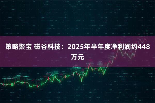策略聚宝 磁谷科技：2025年半年度净利润约448万元
