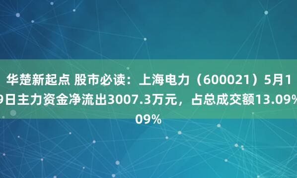 华楚新起点 股市必读：上海电力（600021）5月19日主力资金净流出3007.3万元，占总成交额13.09%